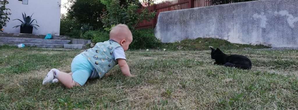 255912666_4603119116391123_7039597564655373665_n